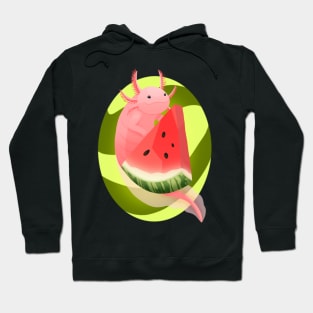 Watermelon Axolotl Hoodie